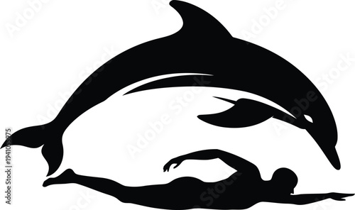 Dolphin swimming with a person in the ocean water recreation  marine life