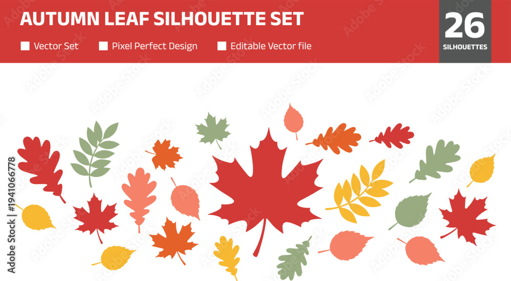 Fototapeta premium Autumn leaf silhouette set with diverse fall foliage icons featuring maple oak and rowan leaves in red orange yellow and green colors for seasonal nature design