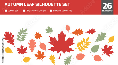 Autumn leaf silhouette set with diverse fall foliage icons featuring maple oak and rowan leaves in red orange yellow and green colors for seasonal nature design