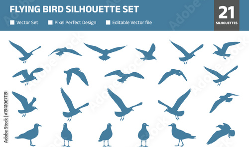 Flying bird silhouette set featuring gull pigeon dove and seabird poses including flying landing standing and wing spread isolated monochrome wildlife collection