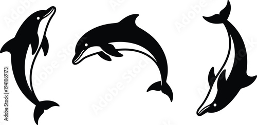 Set of three black dolphin silhouettes jumping and swimming in various poses isolated on a solid white background