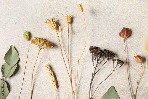 Flat lay of dried wildflowe...