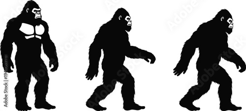 Gorilla silhouette evolution illustration, primate posture transition, muscular ape standing, walking gorilla progression, evolutionary concept artwork, animal anatomy study design