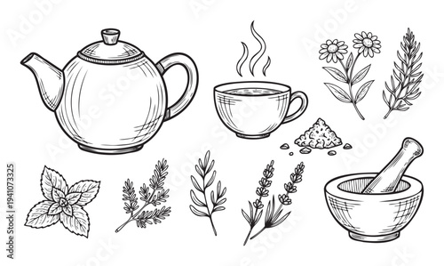 Herbal tea and natural remedy graphic elements showcasing a teapot, steaming cup, various fresh and dried botanicals, and a mortar with pestle for health and wellness projects