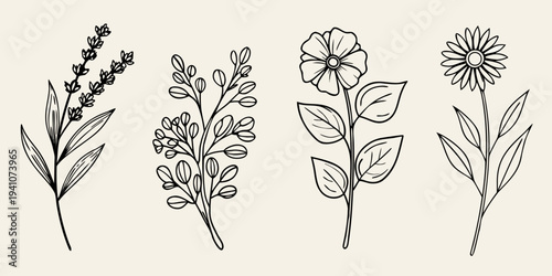 Botanical illustration of wildflowers and foliage in a linear style