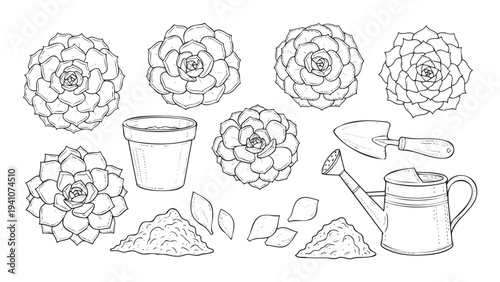 Collection of succulent plants, a pot, soil mounds, leaves, a hand trowel, and a watering can depicted in a hand drawn line style for garden enthusiasts and DIY craft designs