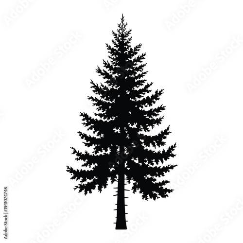 A solitary evergreen tree silhouette against a plain white background