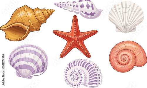 Realistic seashell and starfish illustration set, ocean shell collection, coastal marine elements, beach nature objects, detailed nautical vector isolated