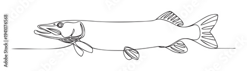 Continuous line drawing of a predatory freshwater fish creating a minimalist graphic symbol for fishing related advertising and aquatic wildlife nature themes