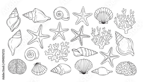A collection of marine life outlines perfect for educational materials, coloring books, or oceanthemed graphic projects and decorations.