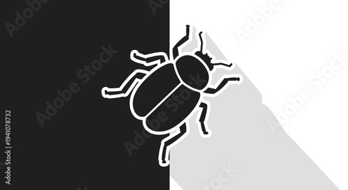 Black and white cockroach insect.