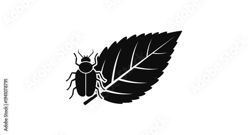 Black beetle on a leaf side view.