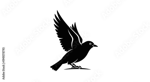 Black bird with wings spread.