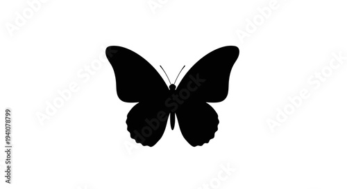 Black butterfly silhouette with wings.