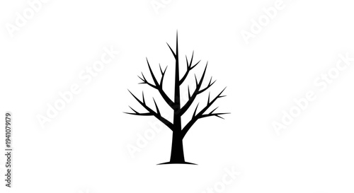 Tableau sur toile Leafless tree silhouette against white.