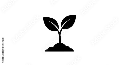 Sprouting seedling plant growing upwards.