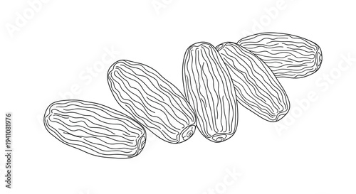 Artistic black and white line drawing of five dates fruit arranged in a group showing detailed skin textures and patterns.