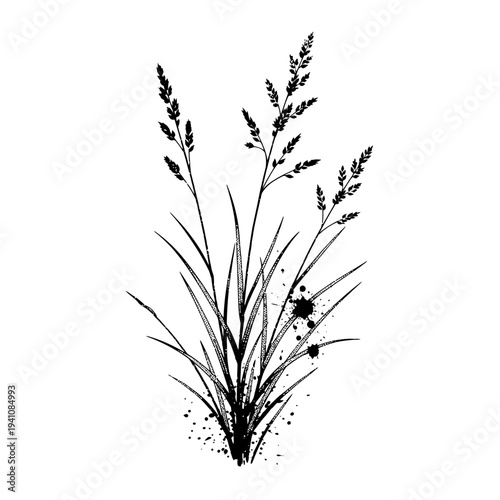 Black ink drawing of wild grass with ink splatters on white background