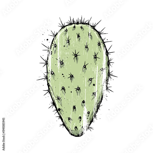 Prickly Pear Cactus Pad Illustration