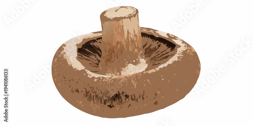 Illustration of a cut portobello mushroom showing the gills