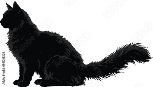 Sitting fluffy long haired cat silhouette with thick bushy tail and pointed ears isolated on white background for veterinary pet and feline design