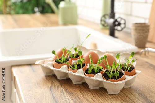 Cardboard box with seedling...