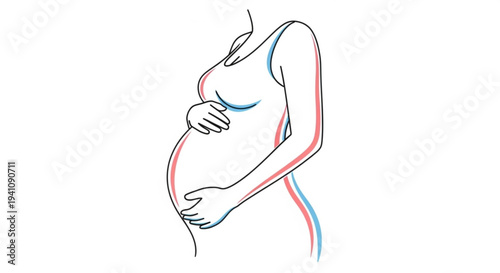 Pregnant woman with red and blue lines around body illustrating fetal development and pregnancy concept