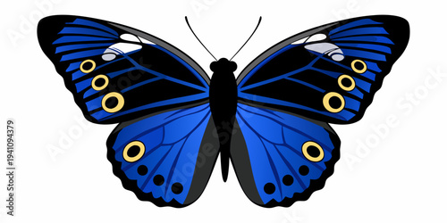 A brightly colored blue butterfly with intricate patterns on its wings