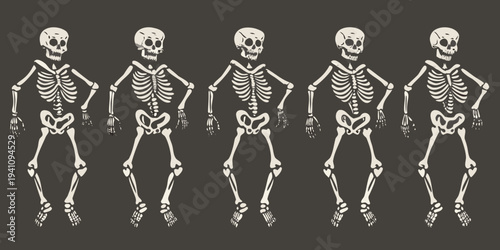 A row of five illustrated skeletons against a dark gray background