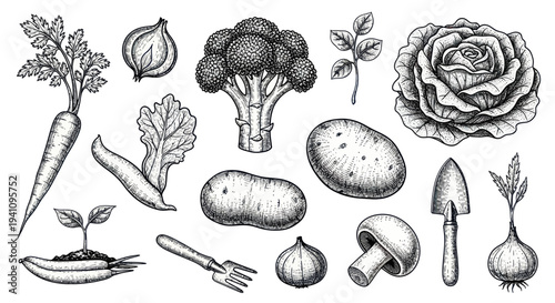 Hand-drawn Vintage Vegetable Collection with Garden Tools