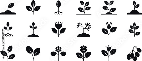 Black silhouettes of various plants and flowers on white background