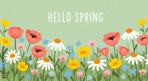 Hello Spring Meadow with Colorful Flowers and Green Grass Background