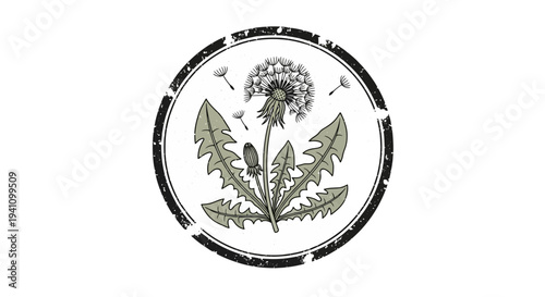 Dandelion seed head with flying seeds and leaves, inside a grunge circle stamp.
