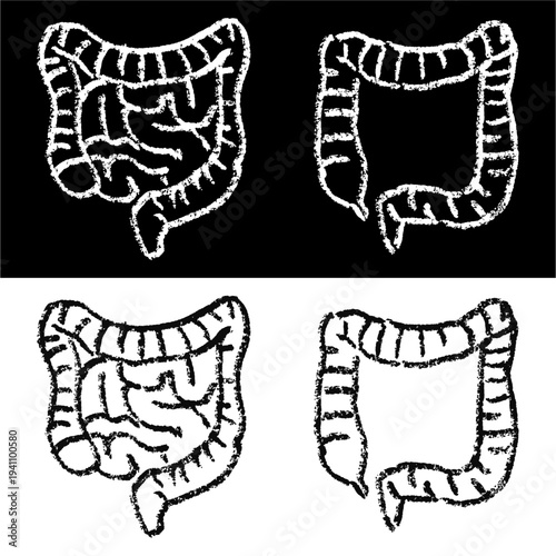 Set editable chalk drawing intestines vector for biology lessons. Ideal for symbolizing school anatomy, vintage medical studies, and chalkboard health.