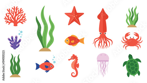 Diverse collection of ocean life illustrations featuring coral, seaweed, starfish, fish, squid, seahorses, and turtles.