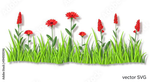 Vibrant Red Gerbera Daisies and Green Grass Border with Soft Shadows
