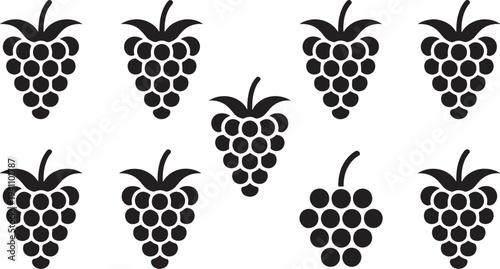 Nine black grape in different sizes on white background grapes fruit