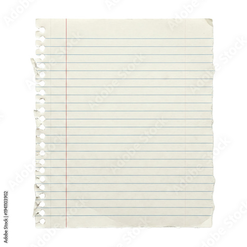 Fotografie Blank lined notebook paper with torn spiral edge