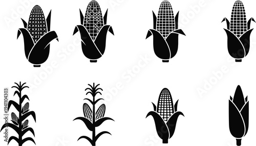 Set of corn maize cob and plant silhouette icons, agricultural crop symbol collection for farm food logo vector illustration design
