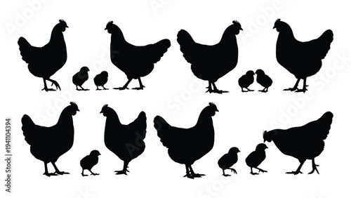 A group of chickens and chicks standing together