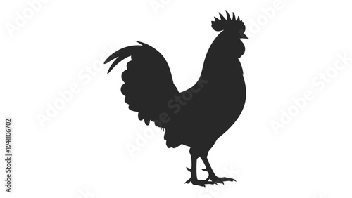 A black silhouette of a rooster standing on a surface