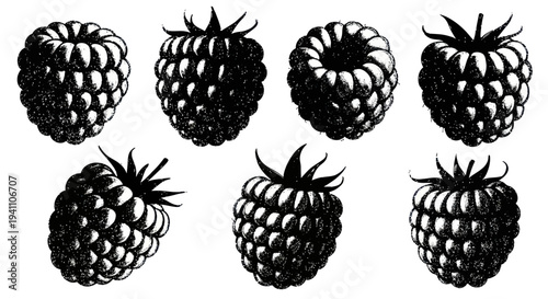 Set of Hand Drawn Raspberries, Black and White Vintage Style Illustration