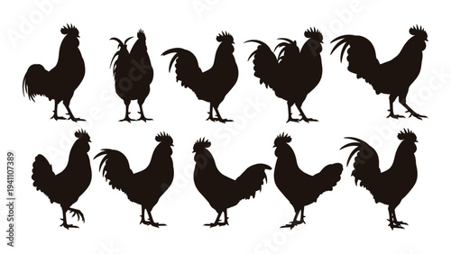 Collection of roosters and hens in various poses