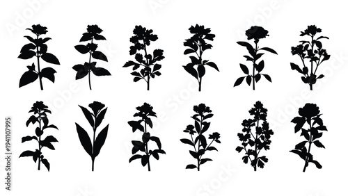 A collection of ten different flower silhouettes