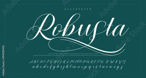 Script Brush Font Type Font lettering handwritten. vector illustration 