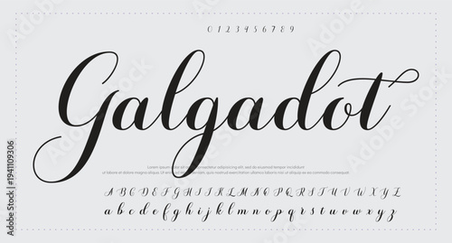 Script Brush Font Type Font lettering handwritten. vector illustration 