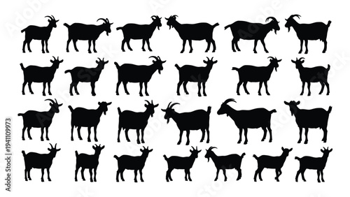 A group of goats standing in different positions