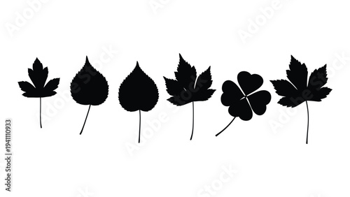 A group of different types of leaves