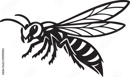 Vector illustration of a black wasp on white background