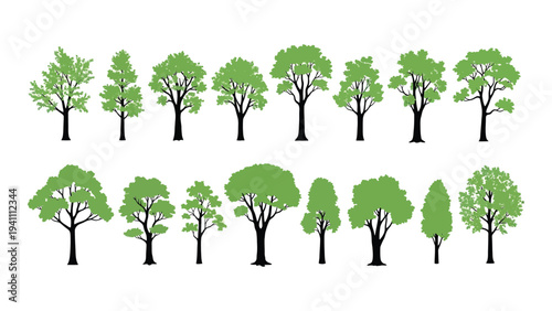 A collection of trees with different shapes and sizes